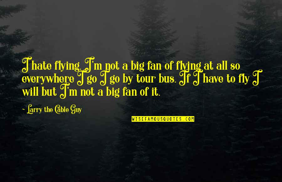 Fly By Quotes By Larry The Cable Guy: I hate flying. I'm not a big fan