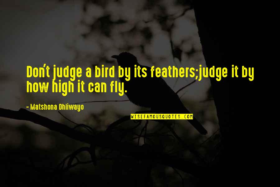 Fly By Quotes By Matshona Dhliwayo: Don't judge a bird by its feathers;judge it
