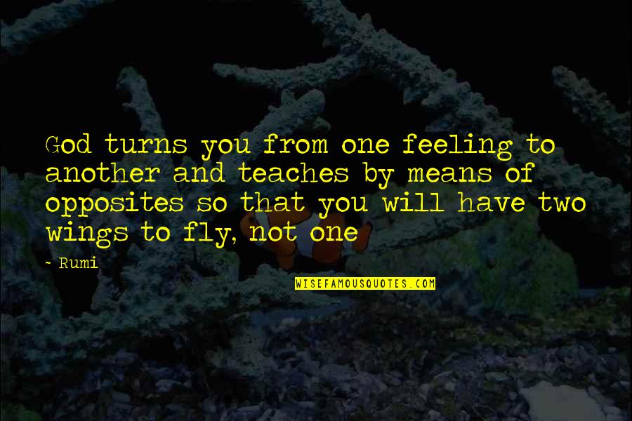 Fly By Quotes By Rumi: God turns you from one feeling to another