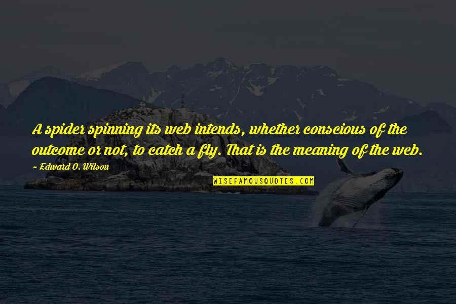 Fly Edward Fly Quotes By Edward O. Wilson: A spider spinning its web intends, whether conscious Fly Edward Fly Quotes By Edward O. Wilson: A spider spinning its web intends, whether conscious