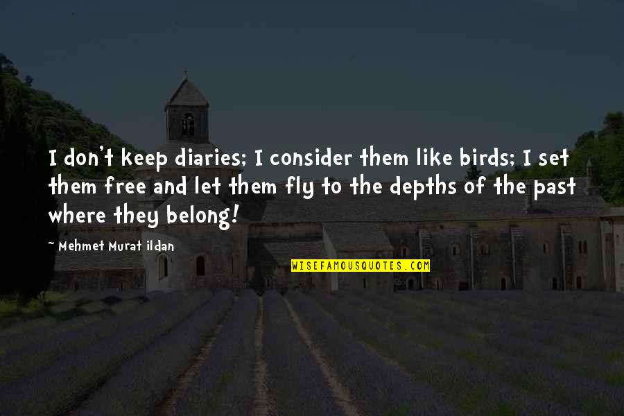 Fly Free Like A Bird Quotes By Mehmet Murat Ildan: I don't keep diaries; I consider them like