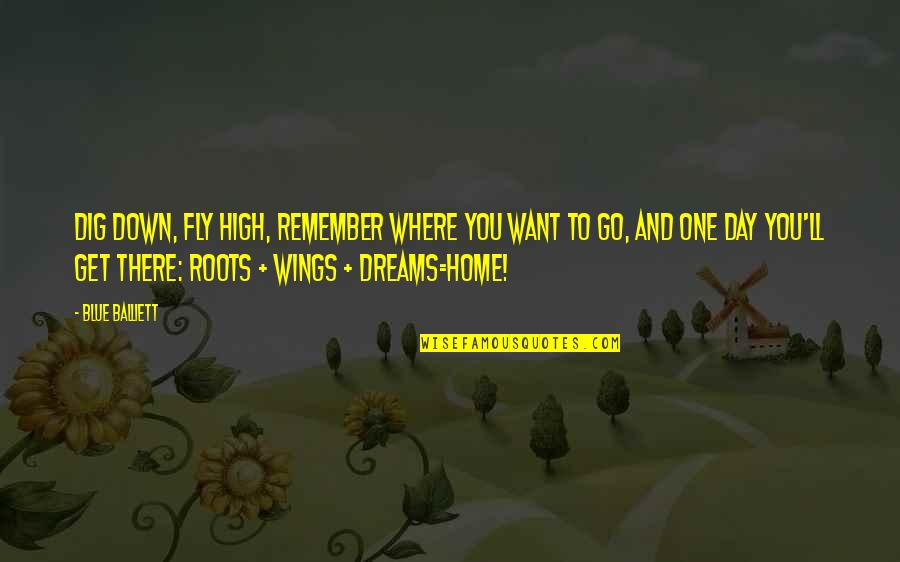 Fly High With Wings Quotes By Blue Balliett: Dig down, fly high, remember where you want
