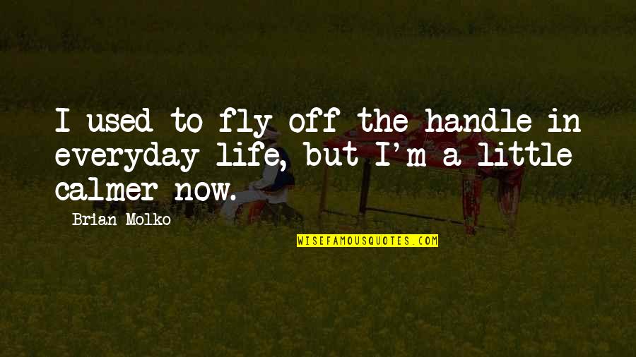Fly In Life Quotes By Brian Molko: I used to fly off the handle in