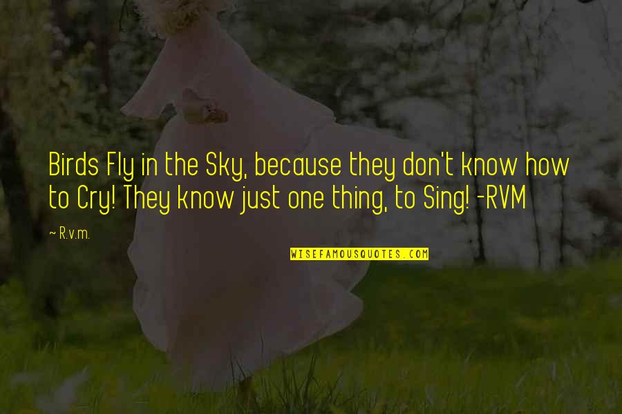 Fly In The Sky Quotes By R.v.m.: Birds Fly in the Sky, because they don't