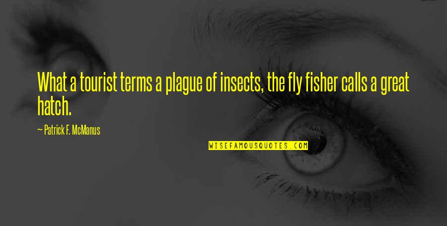 Fly Insects Quotes By Patrick F. McManus: What a tourist terms a plague of insects,
