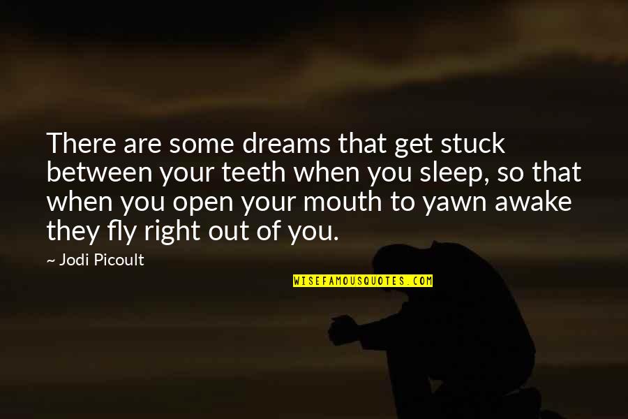 Fly Open Quotes By Jodi Picoult: There are some dreams that get stuck between