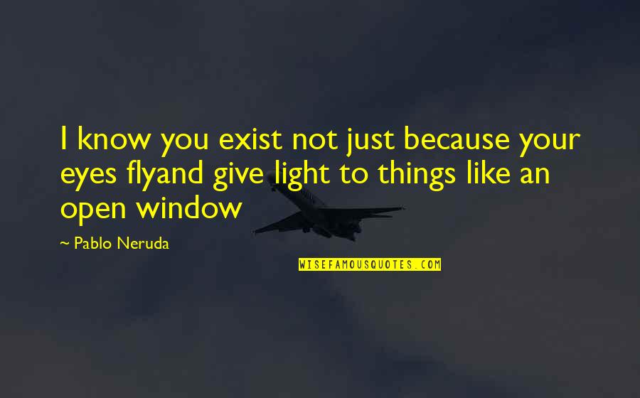 Fly Open Quotes By Pablo Neruda: I know you exist not just because your