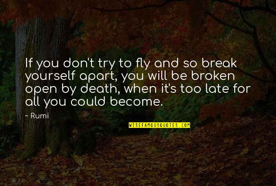 Fly Open Quotes By Rumi: If you don't try to fly and so