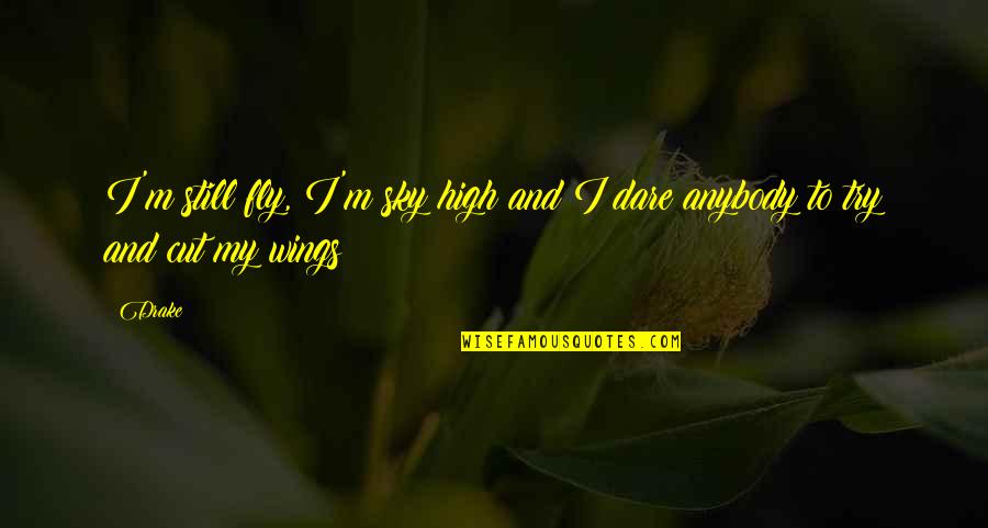 Fly Sky Quotes By Drake: I'm still fly, I'm sky high and I
