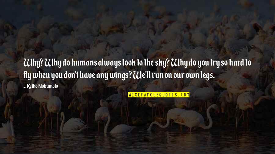 Fly Sky Quotes By Keiko Nobumoto: Why? Why do humans always look to the