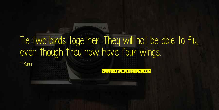 Fly Together Quotes By Rumi: Tie two birds together. They will not be