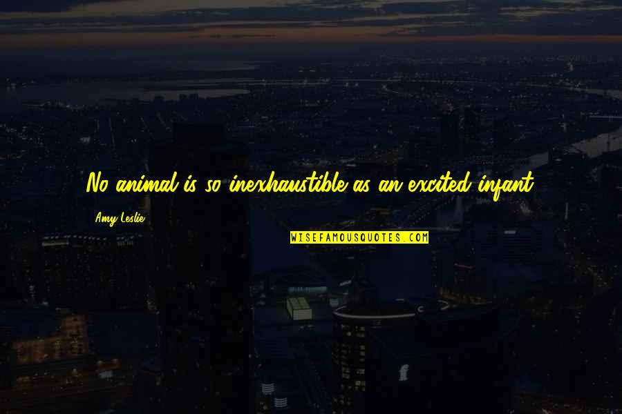 Flying Aircraft Quotes By Amy Leslie: No animal is so inexhaustible as an excited