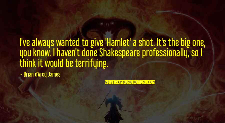 Flying Aircraft Quotes By Brian D'Arcy James: I've always wanted to give 'Hamlet' a shot.
