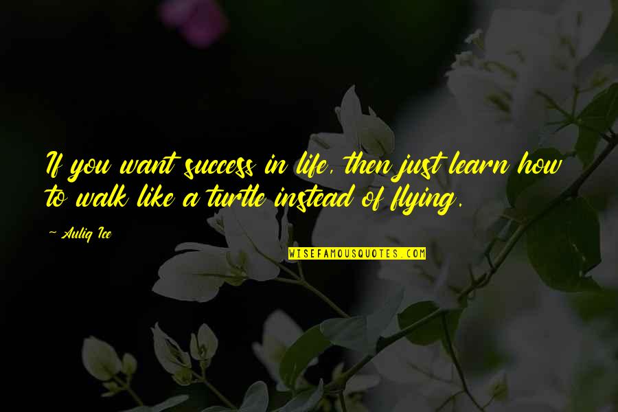 Flying And Life Quotes By Auliq Ice: If you want success in life, then just