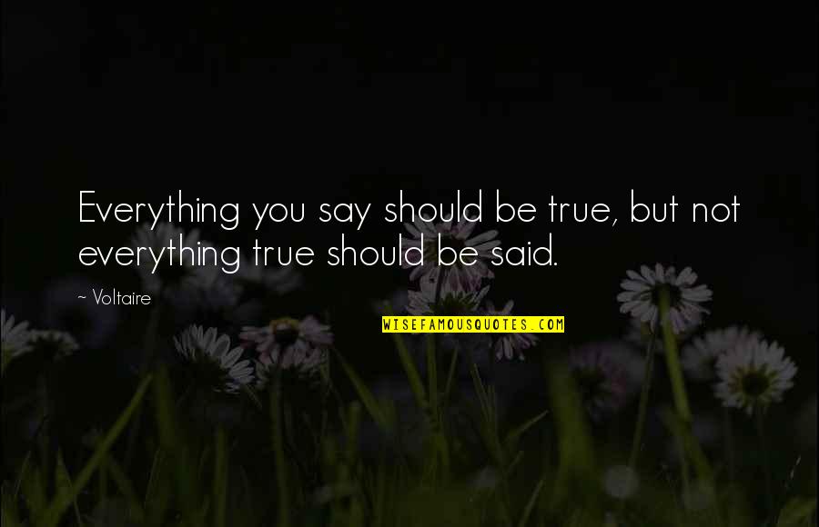 Flying Around The World Quotes By Voltaire: Everything you say should be true, but not