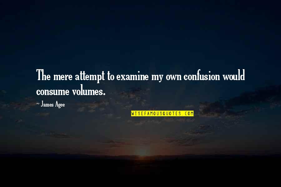 Flying Away Like A Bird Quotes By James Agee: The mere attempt to examine my own confusion