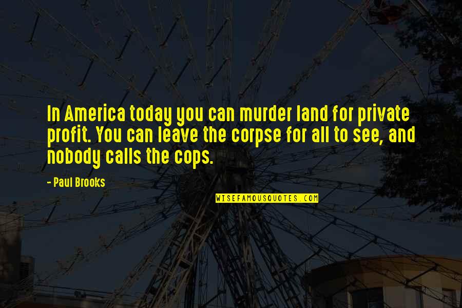 Flying Away Like A Bird Quotes By Paul Brooks: In America today you can murder land for Flying Away Like A Bird Quotes By Paul Brooks: In America today you can murder land for