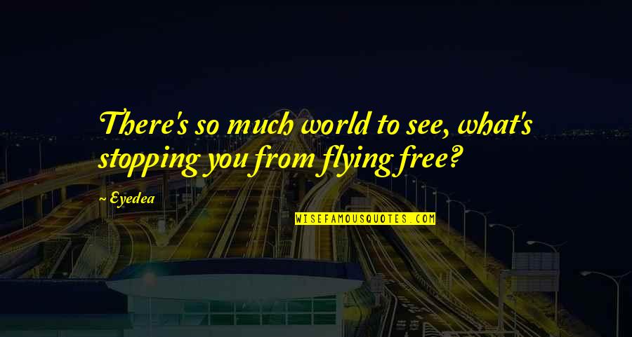 Flying Free Quotes By Eyedea: There's so much world to see, what's stopping
