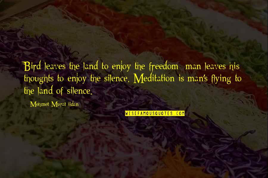 Flying Freedom Quotes By Mehmet Murat Ildan: Bird leaves the land to enjoy the freedom;