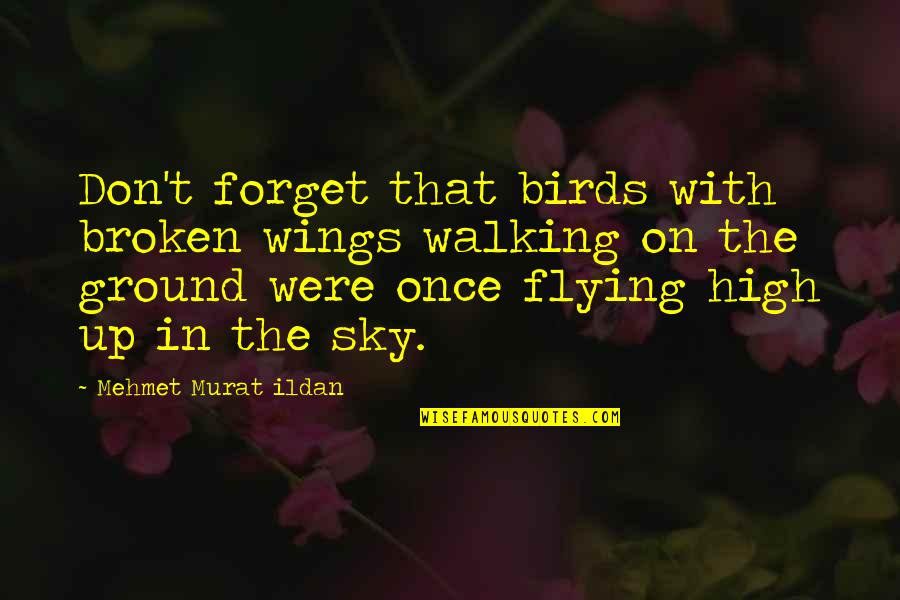 Flying High Quotes By Mehmet Murat Ildan: Don't forget that birds with broken wings walking