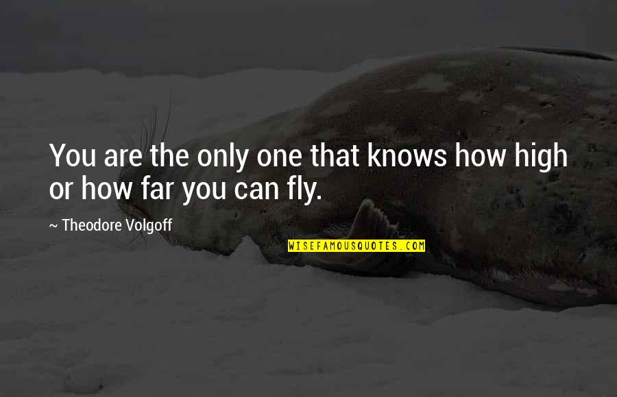 Flying High Quotes By Theodore Volgoff: You are the only one that knows how