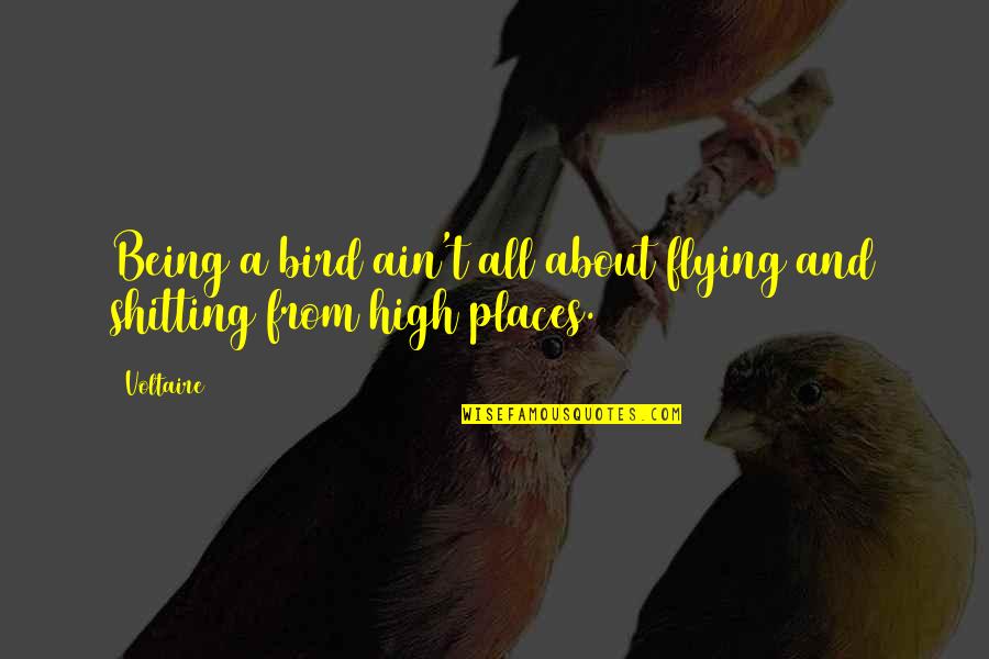 Flying High Quotes By Voltaire: Being a bird ain't all about flying and