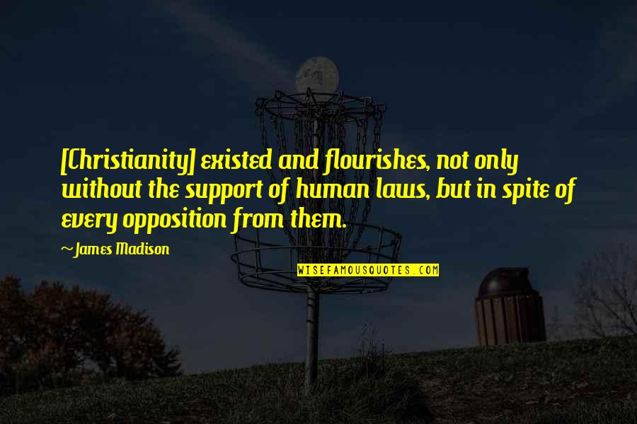 Flying Higher Quotes By James Madison: [Christianity] existed and flourishes, not only without the