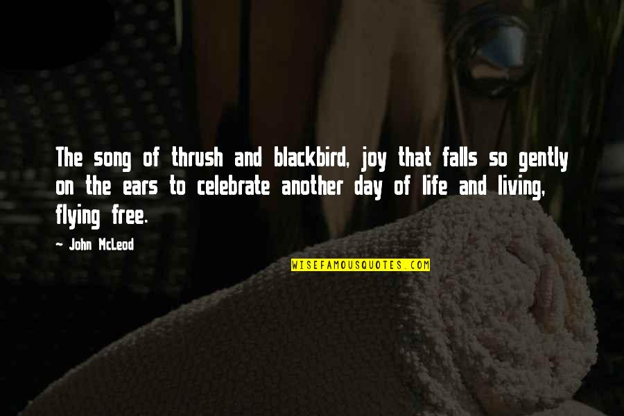 Flying In Life Quotes By John McLeod: The song of thrush and blackbird, joy that
