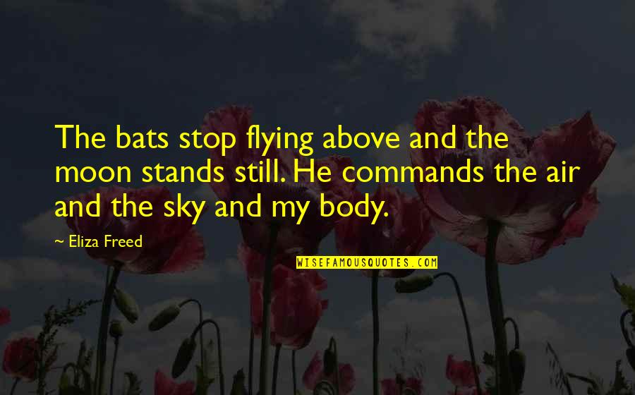 Flying In The Sky Quotes By Eliza Freed: The bats stop flying above and the moon