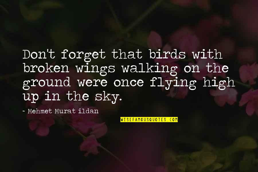 Flying In The Sky Quotes By Mehmet Murat Ildan: Don't forget that birds with broken wings walking