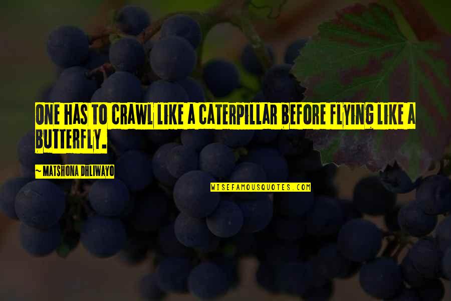 Flying Like A Butterfly Quotes By Matshona Dhliwayo: One has to crawl like a caterpillar before