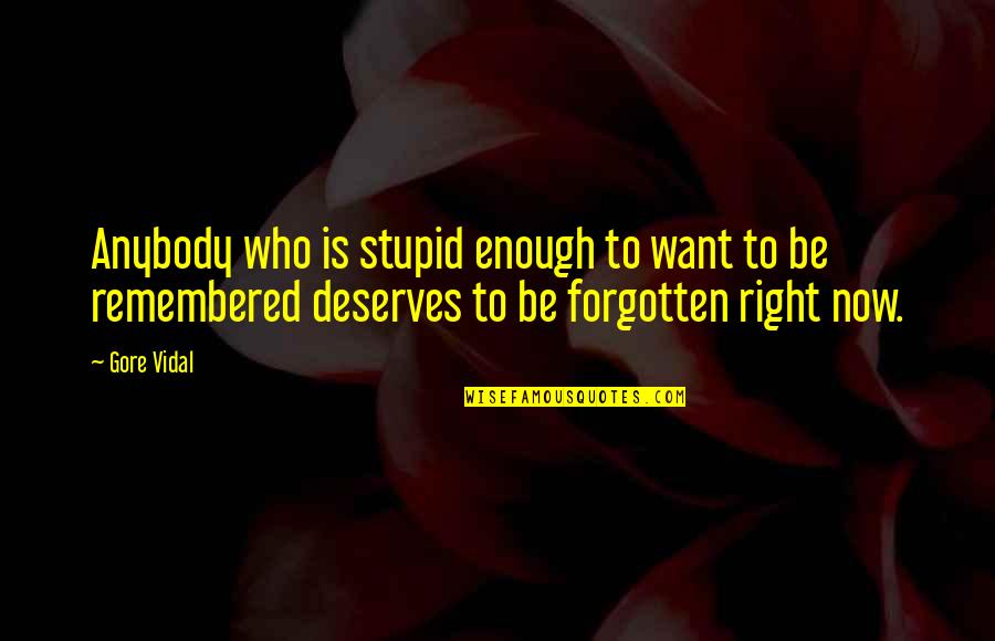Flying Travel Quotes By Gore Vidal: Anybody who is stupid enough to want to Flying Travel Quotes By Gore Vidal: Anybody who is stupid enough to want to