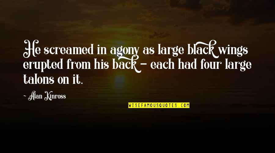 Flying Wings Quotes By Alan Kinross: He screamed in agony as large black wings