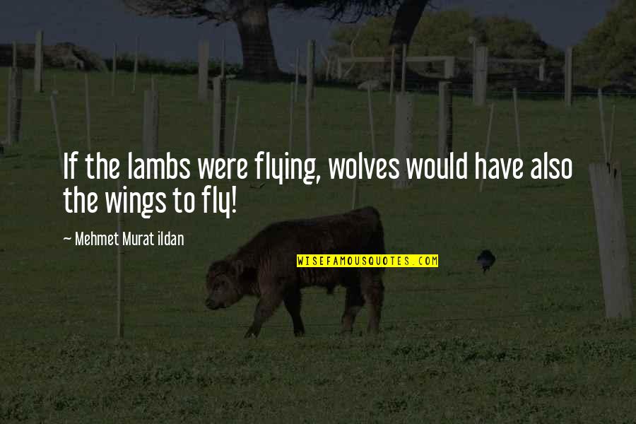 Flying Wings Quotes By Mehmet Murat Ildan: If the lambs were flying, wolves would have