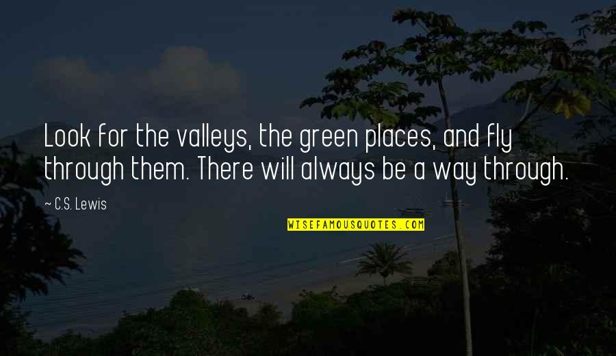 Fly's Quotes By C.S. Lewis: Look for the valleys, the green places, and