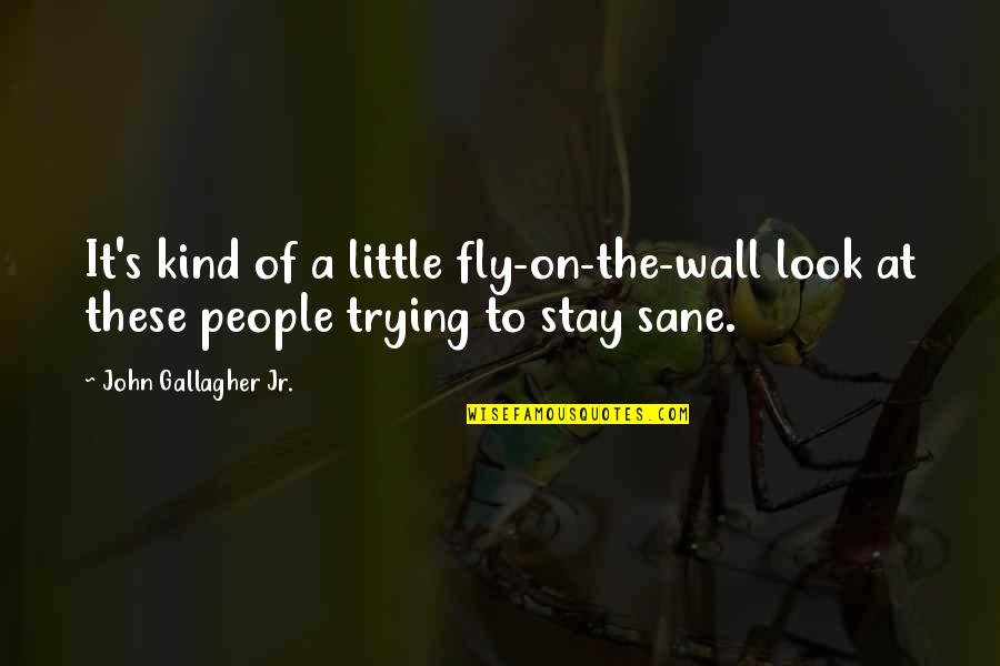 Fly's Quotes By John Gallagher Jr.: It's kind of a little fly-on-the-wall look at