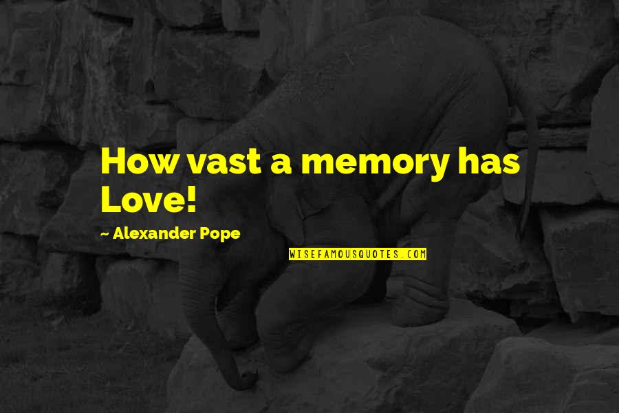 Fmcc Quotes By Alexander Pope: How vast a memory has Love!