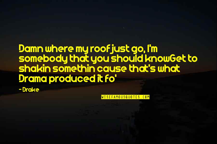 Fo Quotes By Drake: Damn where my roof just go, I'm somebody