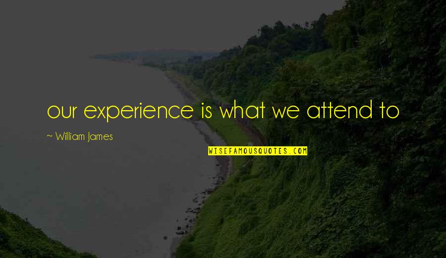 Foaad Haghighi Quotes By William James: our experience is what we attend to