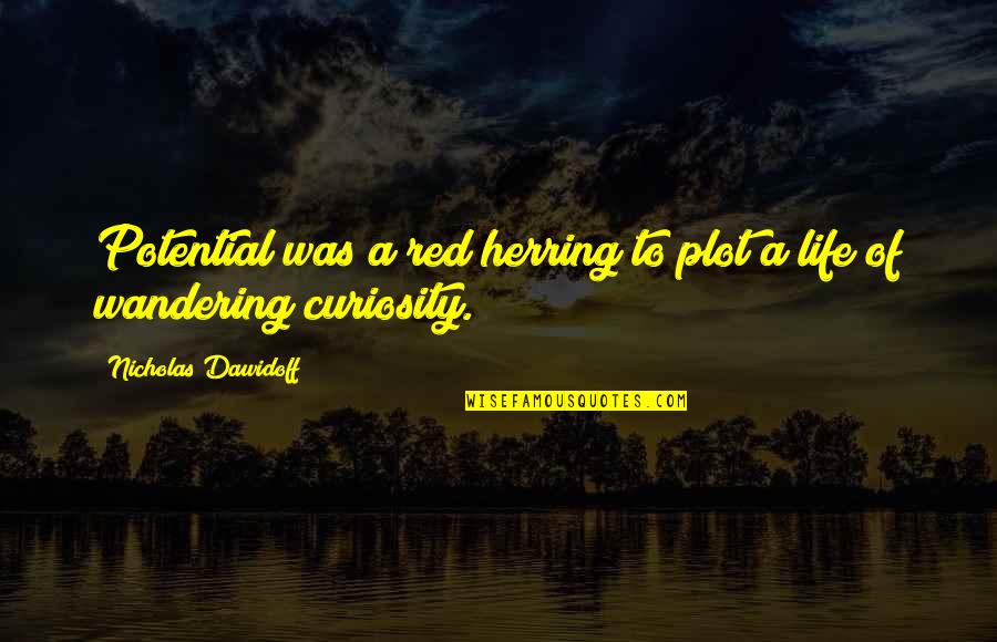 Focus Distraction Quotes By Nicholas Dawidoff: Potential was a red herring to plot a