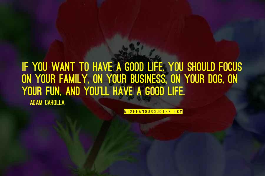 Focus On Good Quotes By Adam Carolla: If you want to have a good life,