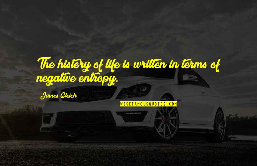 Focus On My Career Quotes By James Gleick: The history of life is written in terms