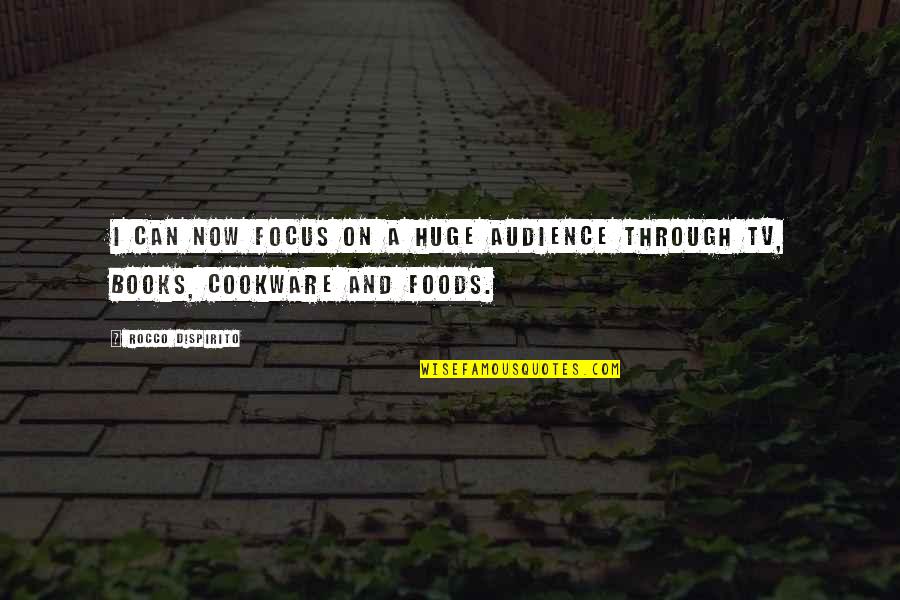 Focus On Now Quotes By Rocco DiSpirito: I can now focus on a huge audience