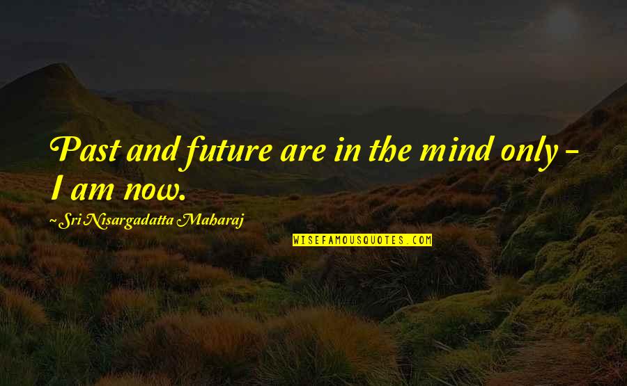 Focus On Positives Quotes By Sri Nisargadatta Maharaj: Past and future are in the mind only