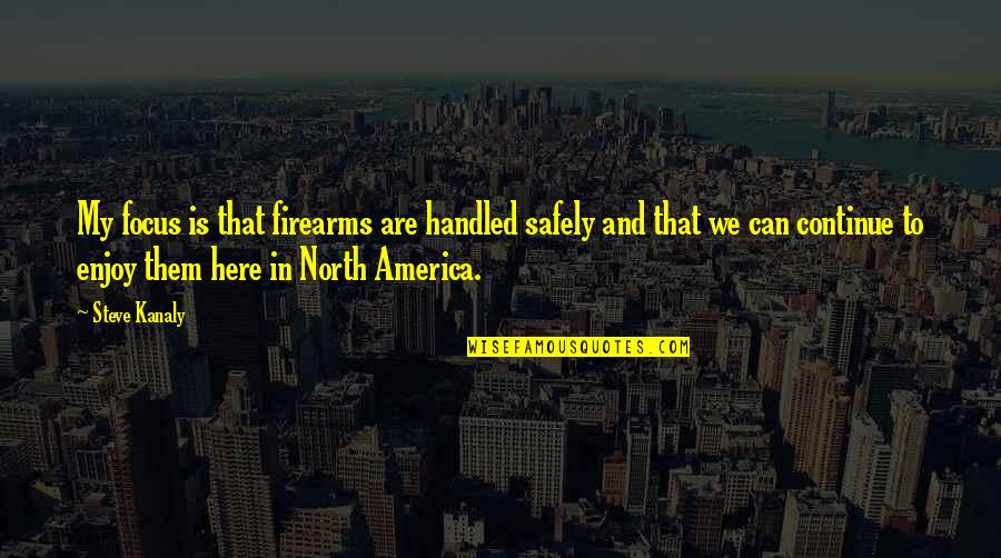 Focus On The Here And Now Quotes By Steve Kanaly: My focus is that firearms are handled safely