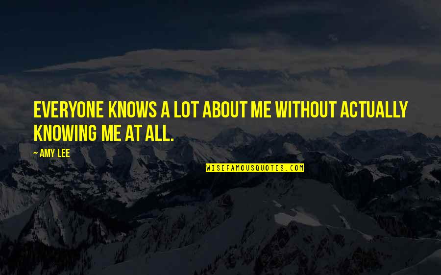 Focus On The Road Ahead Quotes By Amy Lee: Everyone knows a lot about me without actually