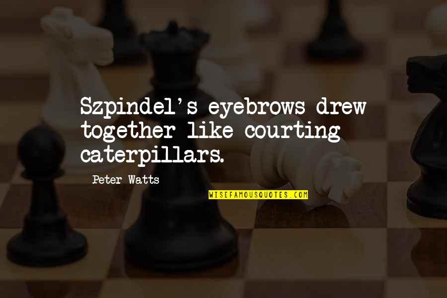 Focus On The Task Quotes By Peter Watts: Szpindel's eyebrows drew together like courting caterpillars.