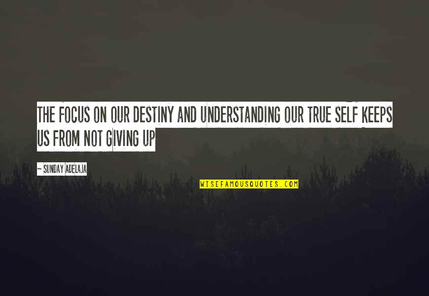 Focus On Us Quotes By Sunday Adelaja: The focus on our destiny and understanding our