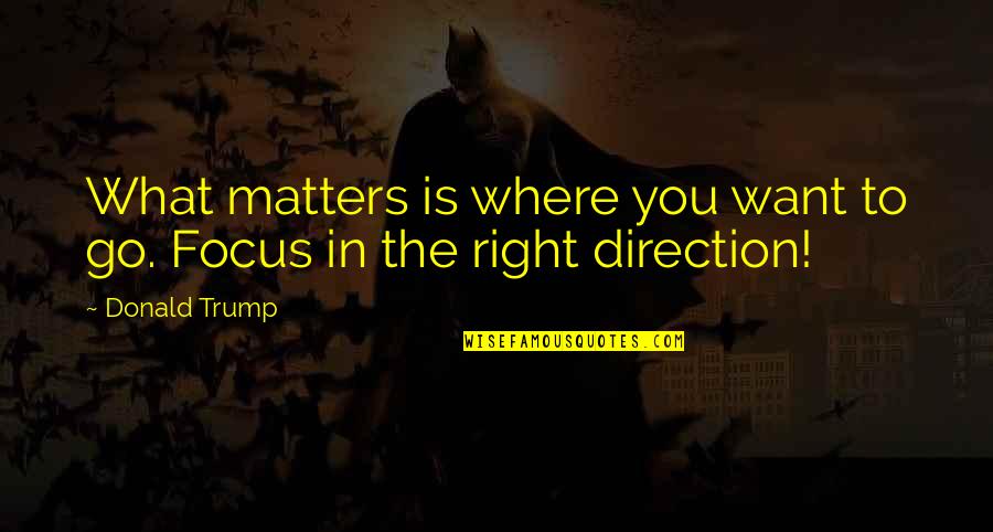 Focus On Where You Want To Go Quotes By Donald Trump: What matters is where you want to go.