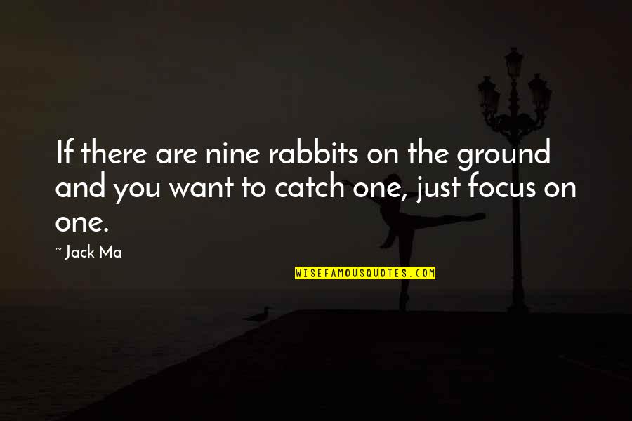 Focus Quotes By Jack Ma: If there are nine rabbits on the ground